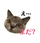 まんじろうツンデレ。（個別スタンプ：4）