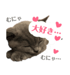 まんじろうツンデレ。（個別スタンプ：7）