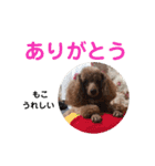 もこのスタンプ01（個別スタンプ：2）