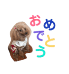 もこのスタンプ01（個別スタンプ：3）