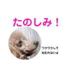 もこのスタンプ01（個別スタンプ：10）