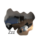 権兵衛 ②（個別スタンプ：4）