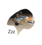 権兵衛 ②（個別スタンプ：7）