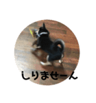 権兵衛 ②（個別スタンプ：14）