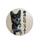 権兵衛 ②（個別スタンプ：22）
