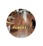 権兵衛 ②（個別スタンプ：27）