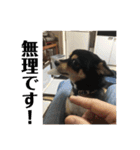 権兵衛 ②（個別スタンプ：29）
