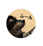 権兵衛 ②（個別スタンプ：33）