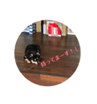 権兵衛 ②（個別スタンプ：40）