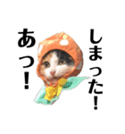 三毛猫くーちゃんPart1（個別スタンプ：14）