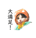 三毛猫くーちゃんPart1（個別スタンプ：15）
