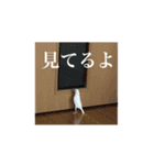 白文鳥のピッピ（個別スタンプ：15）