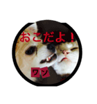 リズの日常スタンプ（個別スタンプ：2）