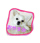 リズの日常スタンプ（個別スタンプ：6）