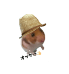 ハムたむ君頑張るだす（個別スタンプ：3）