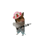 ハムたむ君頑張るだす（個別スタンプ：6）