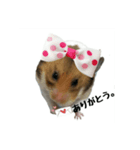 ハムたむ君頑張るだす（個別スタンプ：7）