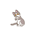 ユーモラスな猫たちの日常の物語（個別スタンプ：2）