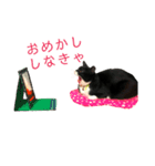 将来の夢はハリウッドスター！（個別スタンプ：5）