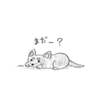 チワワのけんちゃん（個別スタンプ：2）