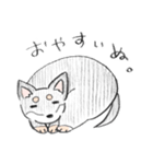 チワワのけんちゃん（個別スタンプ：7）
