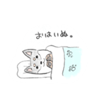 チワワのけんちゃん（個別スタンプ：8）