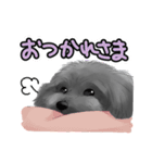 黒プー☆のあさん（個別スタンプ：11）
