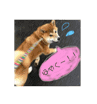 ポコ太の挨拶スタンプ（個別スタンプ：10）