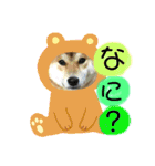 ポコ太の挨拶スタンプ（個別スタンプ：19）