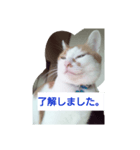 目を細めて一言。（個別スタンプ：1）