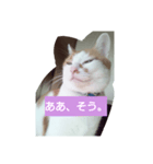 目を細めて一言。（個別スタンプ：2）