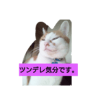 目を細めて一言。（個別スタンプ：4）