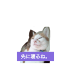 目を細めて一言。（個別スタンプ：5）