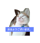 目を細めて一言。（個別スタンプ：6）
