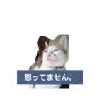目を細めて一言。（個別スタンプ：7）