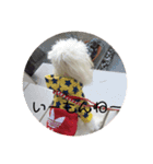 はんぺんさん時々ゆなさん（個別スタンプ：5）