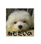 はんぺんさん時々ゆなさん（個別スタンプ：6）