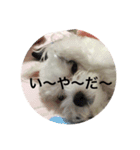 はんぺんさん時々ゆなさん（個別スタンプ：7）