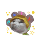 ツンデレ三毛猫、時々魔女三毛猫。（個別スタンプ：7）
