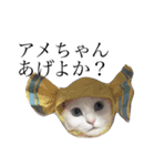 しろ天使うめくら（個別スタンプ：13）