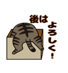 タレ目猫のトロ（個別スタンプ：5）