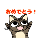 タレ目猫のトロ（個別スタンプ：11）