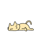 はだいろのねこ（個別スタンプ：23）