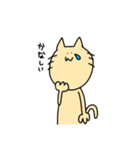 はだいろのねこ（個別スタンプ：34）