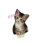 さくらちゃん。（個別スタンプ：1）