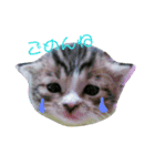さくらちゃん。（個別スタンプ：9）