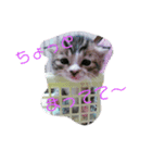 さくらちゃん。（個別スタンプ：14）