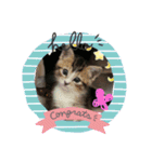 さくらちゃん。（個別スタンプ：15）