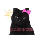 リクとソラのあいさつスタンプ（個別スタンプ：7）