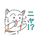 人間みたいな猫（個別スタンプ：9）